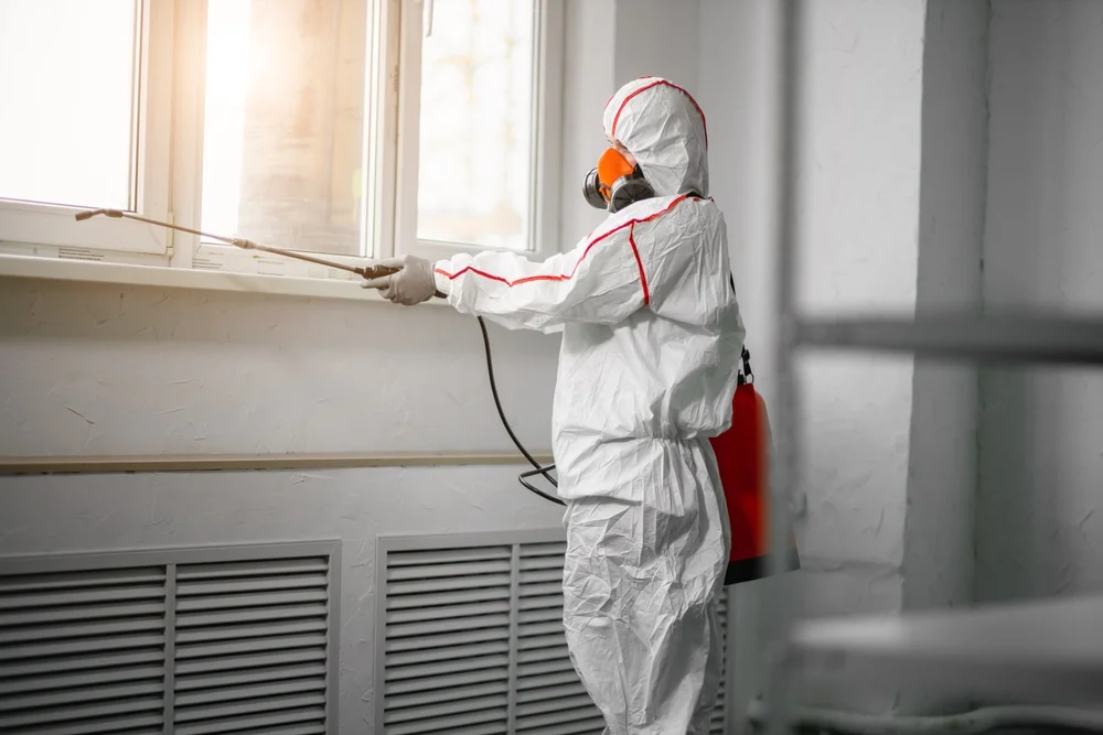 Professional mold remediation services in Newfield, NJ
